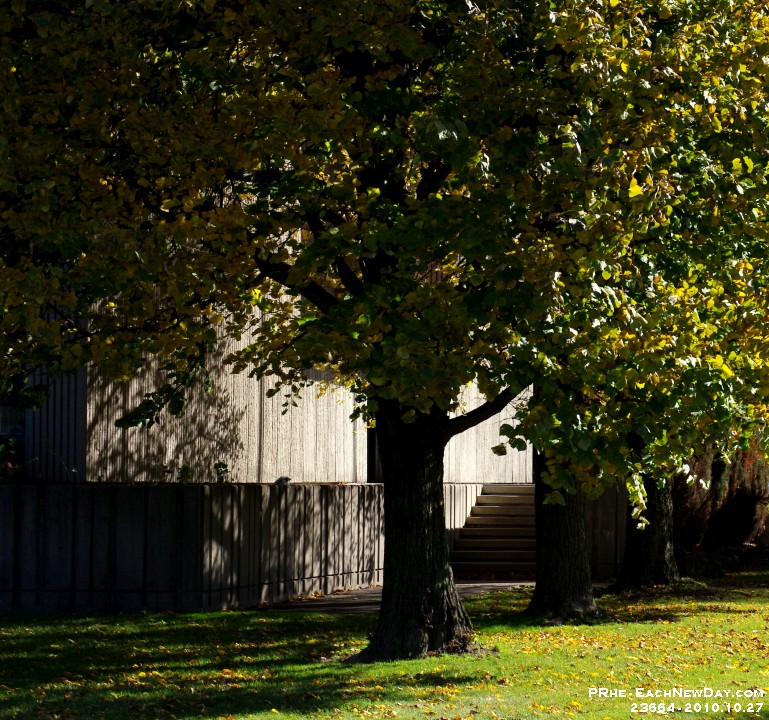 23664CrLe - Afternoon walking at ELM